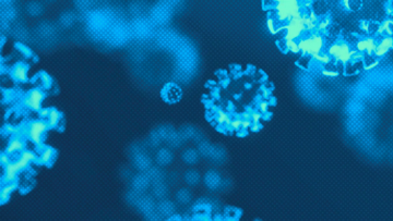 Het coronavirus: feiten en fabels (4)